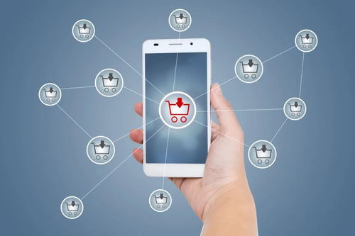 若软件服务巨头凭空消失，行业将出现颠覆性变革